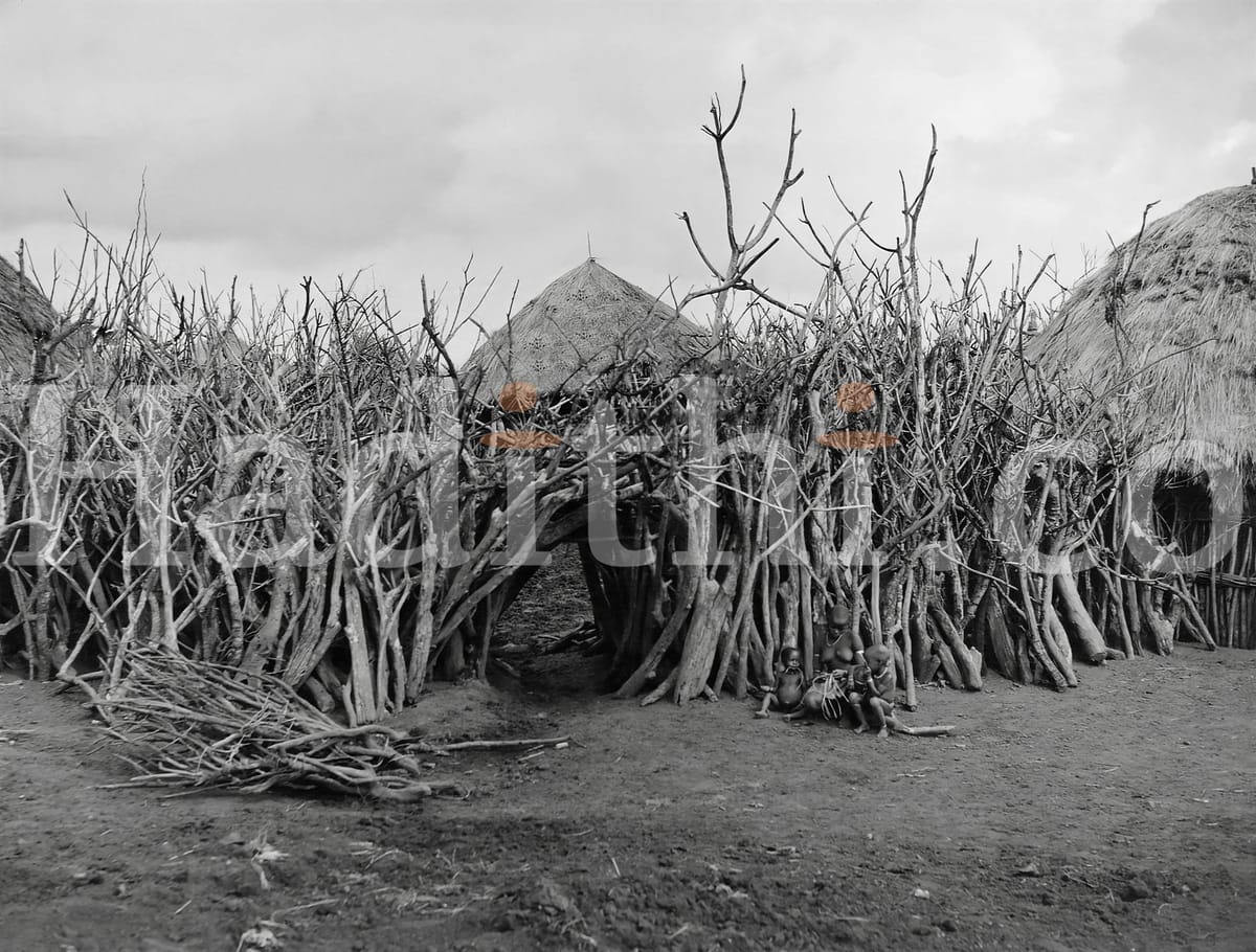 A Bukuria homestead